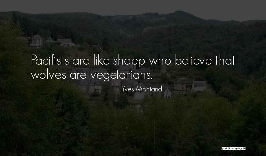 Montand Quotes By Yves Montand Montand Quotes By Yves Montand