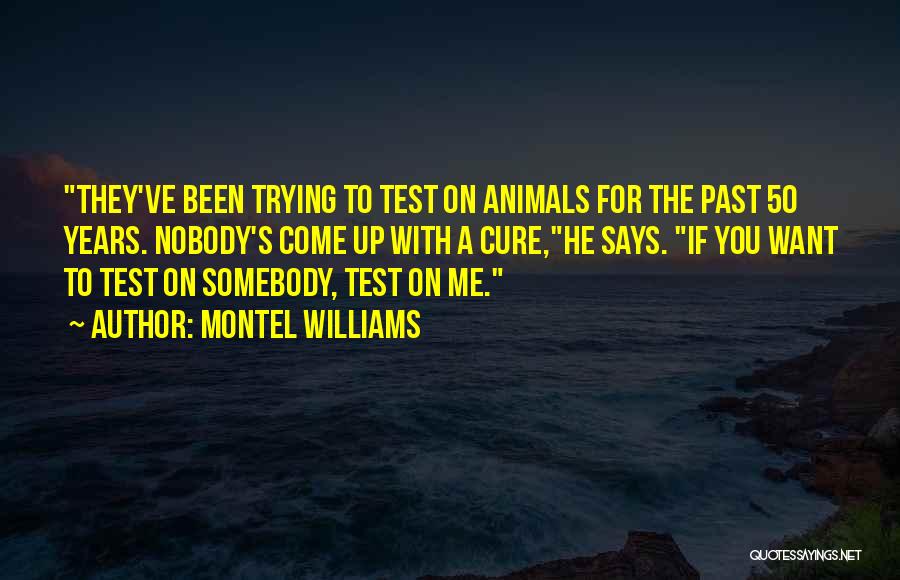 Montel Williams Quotes 617722