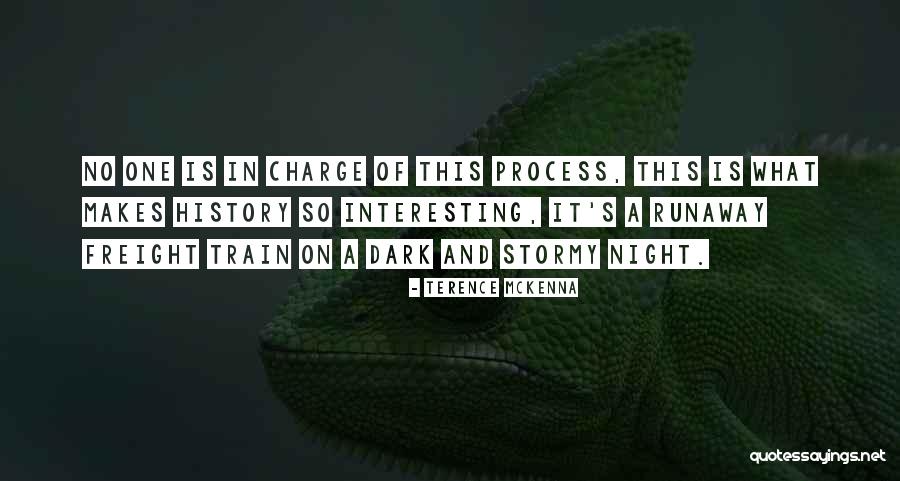 Montenero 1808 Quotes By Terence McKenna Montenero 1808 Quotes By Terence McKenna