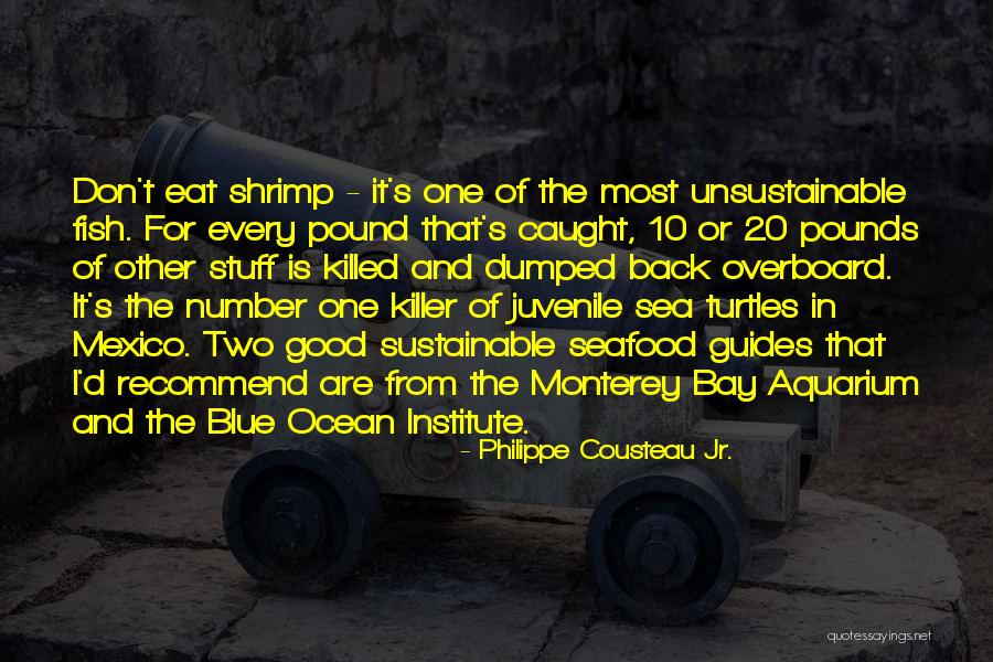 Monterey Bay Quotes By Philippe Cousteau Jr. Monterey Bay Quotes By Philippe Cousteau Jr.