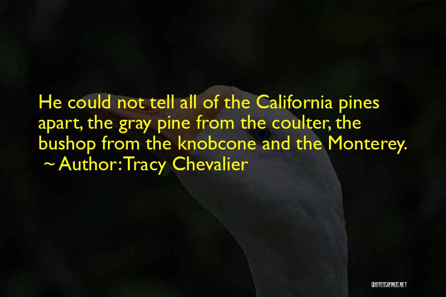 Monterey California Quotes By Tracy Chevalier