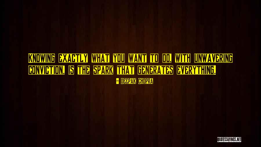 Monterey Jack Rescue Rangers Quotes By Deepak Chopra Monterey Jack Rescue Rangers Quotes By Deepak Chopra