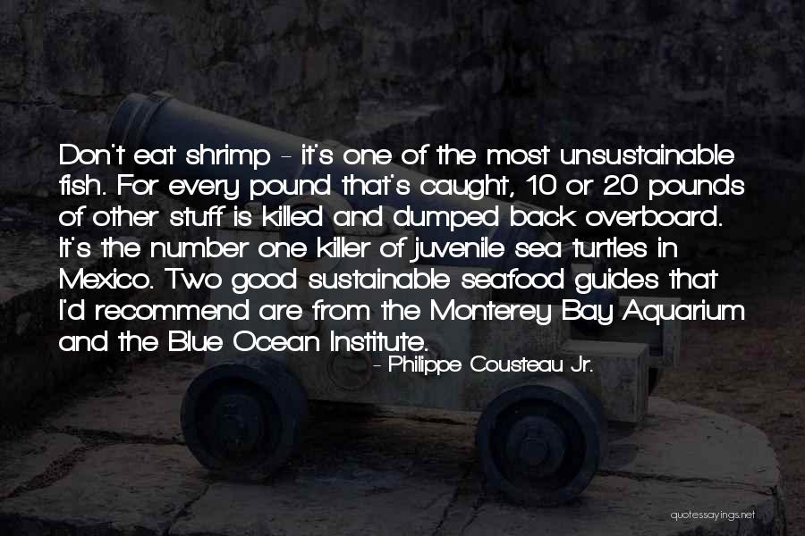 Monterey Quotes By Philippe Cousteau Jr. Monterey Quotes By Philippe Cousteau Jr.