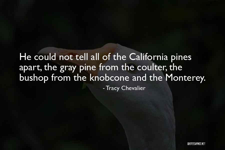 Monterey Quotes By Tracy Chevalier Monterey Quotes By Tracy Chevalier