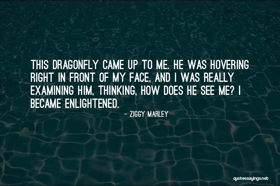 Monterreys Mexican Quotes By Ziggy Marley Monterreys Mexican Quotes By Ziggy Marley