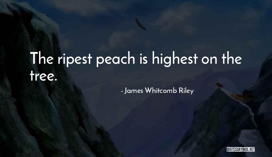 Montesino Cigars Quotes By James Whitcomb Riley Montesino Cigars Quotes By James Whitcomb Riley
