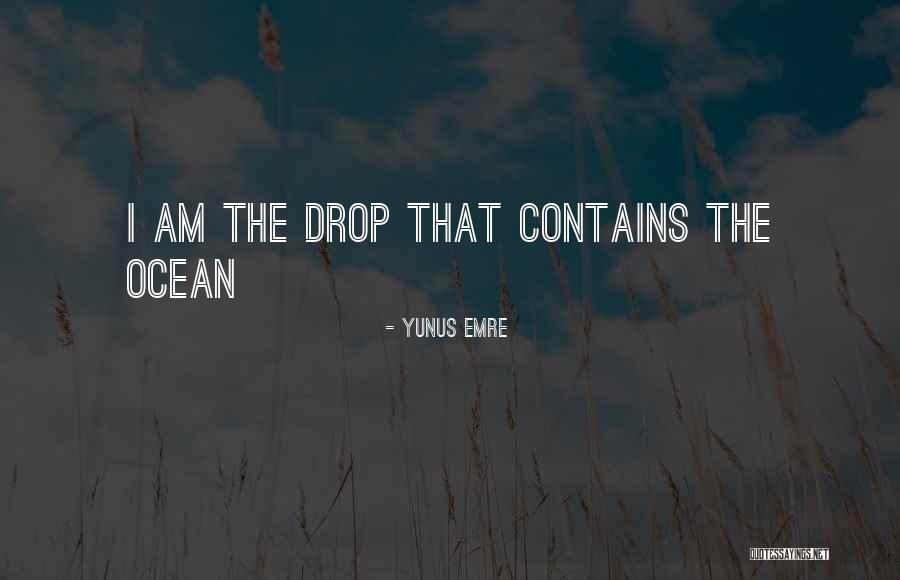 Montesquieus Philosophy Quotes By Yunus Emre Montesquieus Philosophy Quotes By Yunus Emre
