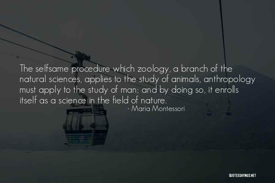 Montessori Quotes By Maria Montessori Montessori Quotes By Maria Montessori