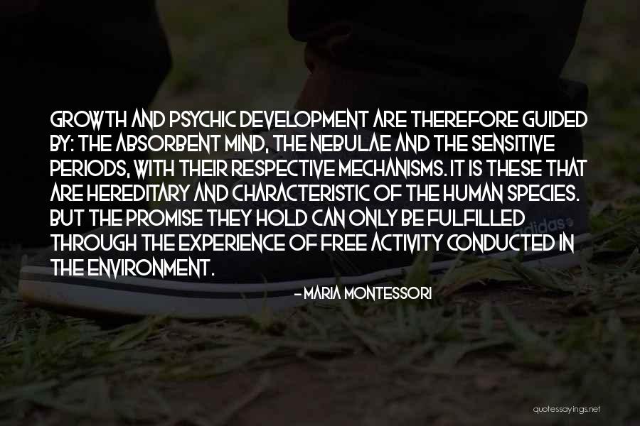 Montessori Sensitive Periods Quotes By Maria Montessori Montessori Sensitive Periods Quotes By Maria Montessori