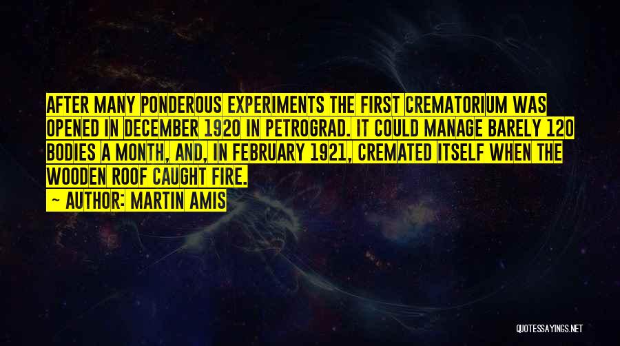 Month Of December Quotes By Martin Amis