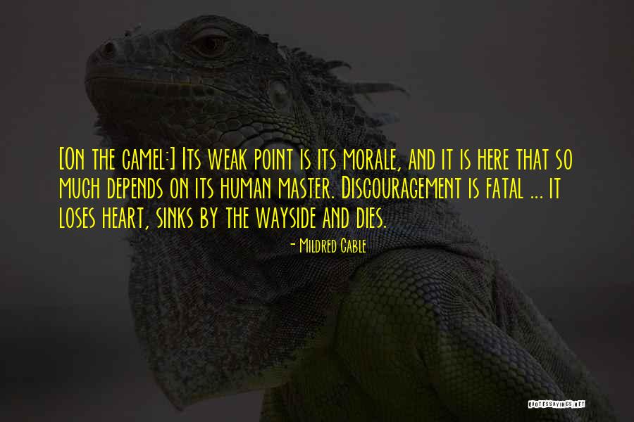 Monticciolo Vincent Quotes By Mildred Cable Monticciolo Vincent Quotes By Mildred Cable