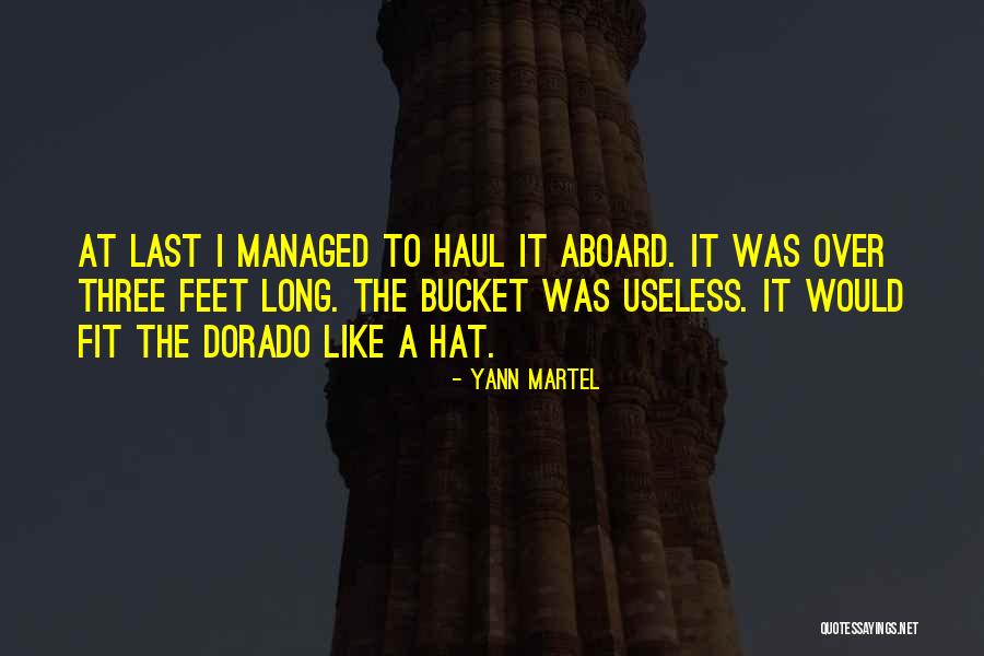 Montillo Meals Quotes By Yann Martel Montillo Meals Quotes By Yann Martel