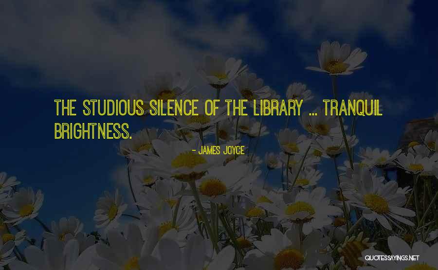 Montney Boudreau Quotes By James Joyce Montney Boudreau Quotes By James Joyce