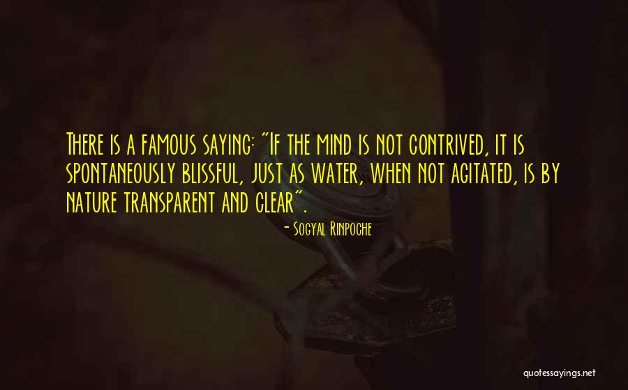Monton Eesti Quotes By Sogyal Rinpoche Monton Eesti Quotes By Sogyal Rinpoche