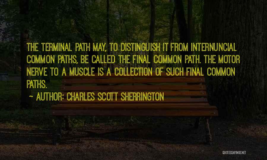 Montones Quotes By Charles Scott Sherrington