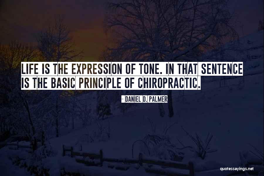 Montoto Videography Quotes By Daniel D. Palmer Montoto Videography Quotes By Daniel D. Palmer