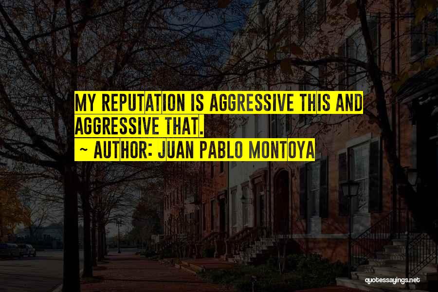 Montoya Quotes By Juan Pablo Montoya