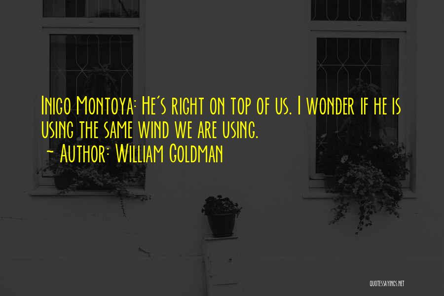 Montoya Quotes By William Goldman