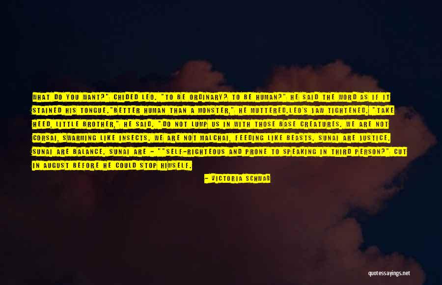 Montplaisir Lyon Quotes By Victoria Schwab Montplaisir Lyon Quotes By Victoria Schwab