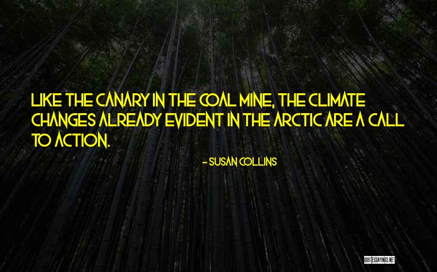 Montreals Weather Quotes By Susan Collins Montreals Weather Quotes By Susan Collins