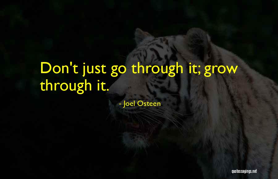 Monty On Say Quotes By Joel Osteen Monty On Say Quotes By Joel Osteen