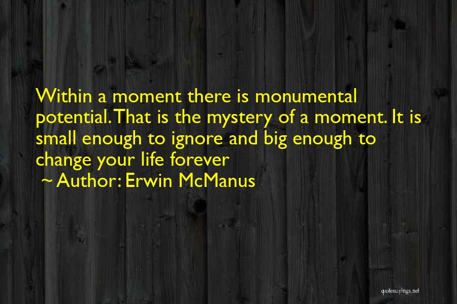 Monumental Quotes By Erwin McManus