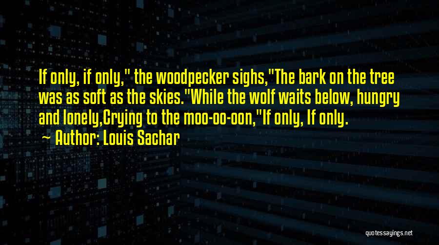 Moo Cow Quotes By Louis Sachar