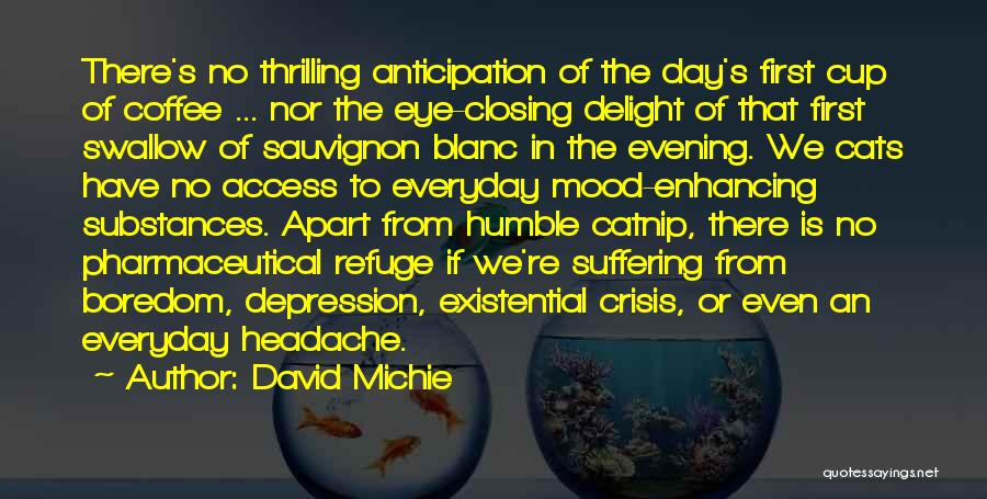 Mood Enhancing Quotes By David Michie