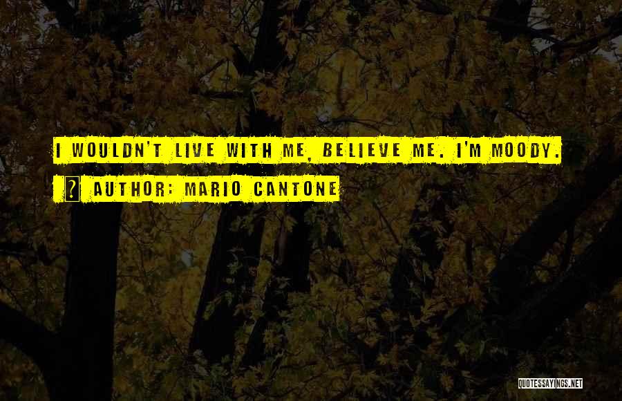 Moody Quotes By Mario Cantone