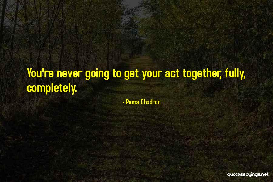 Mooed Quotes By Pema Chodron Mooed Quotes By Pema Chodron