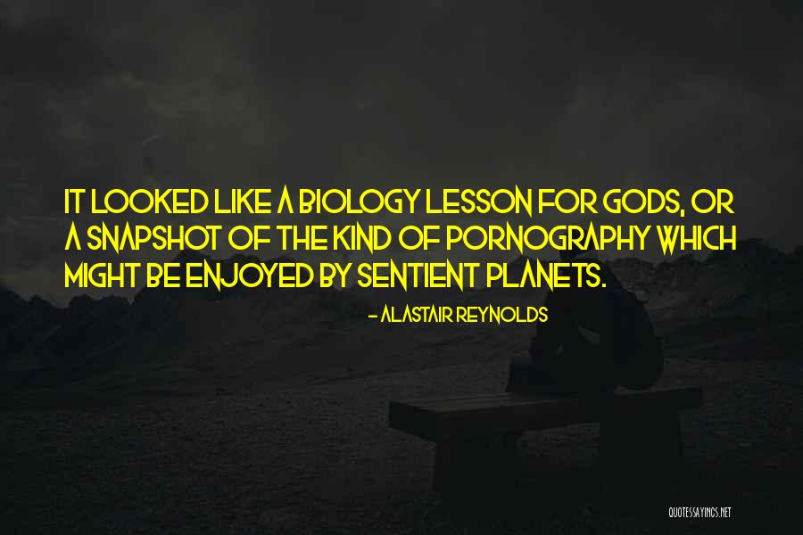 Mooi Quotes By Alastair Reynolds Mooi Quotes By Alastair Reynolds