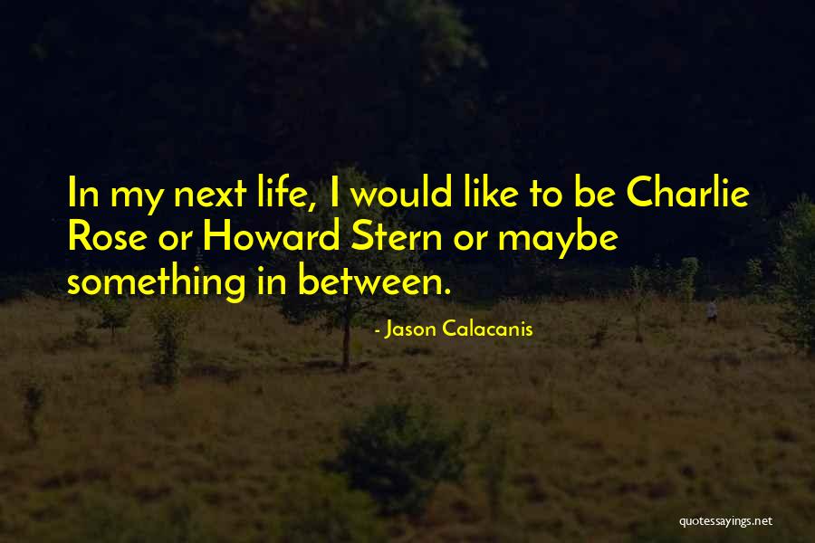 Mooijekind Quotes By Jason Calacanis Mooijekind Quotes By Jason Calacanis