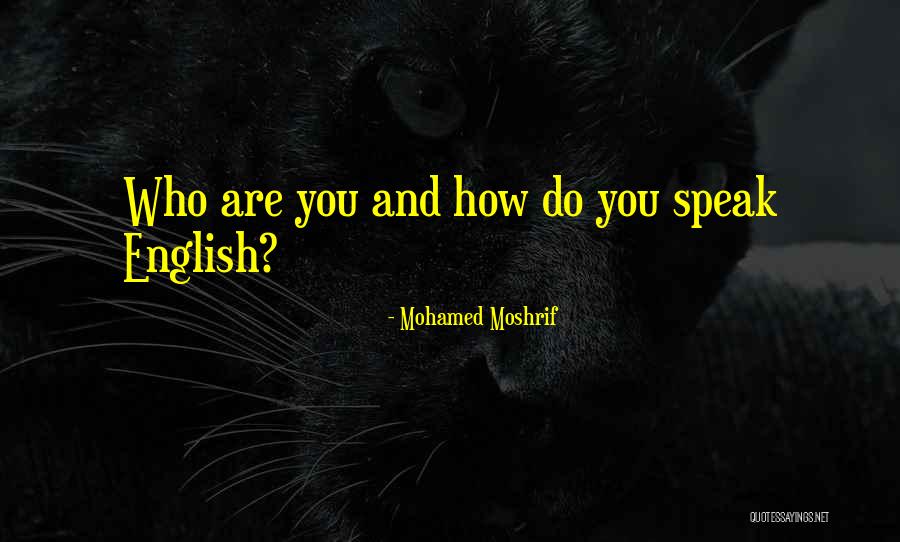 Mooiste Billen Quotes By Mohamed Moshrif Mooiste Billen Quotes By Mohamed Moshrif