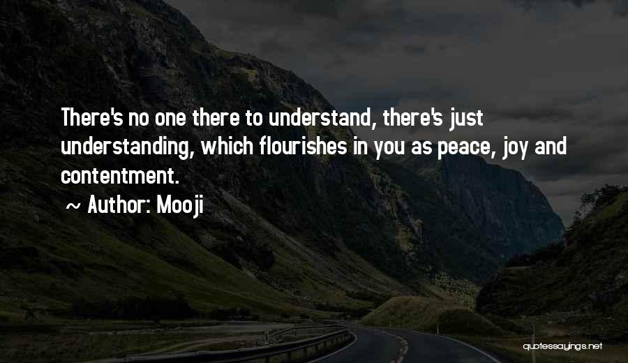 Mooji Quotes 184333