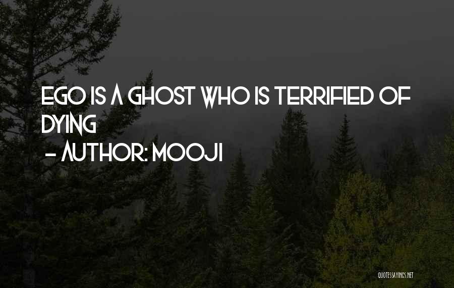 Mooji Quotes 969729