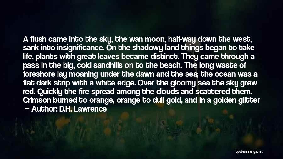 Moon And Clouds Quotes By D.H. Lawrence