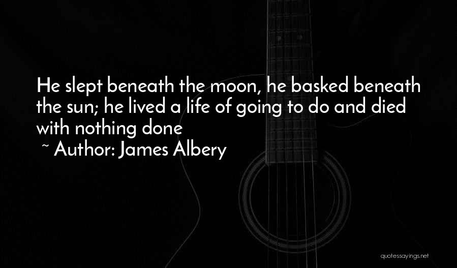 Moon And Life Quotes By James Albery