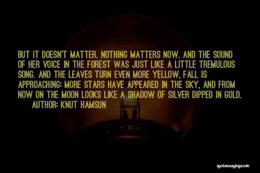 Moon And More Quotes By Knut Hamsun