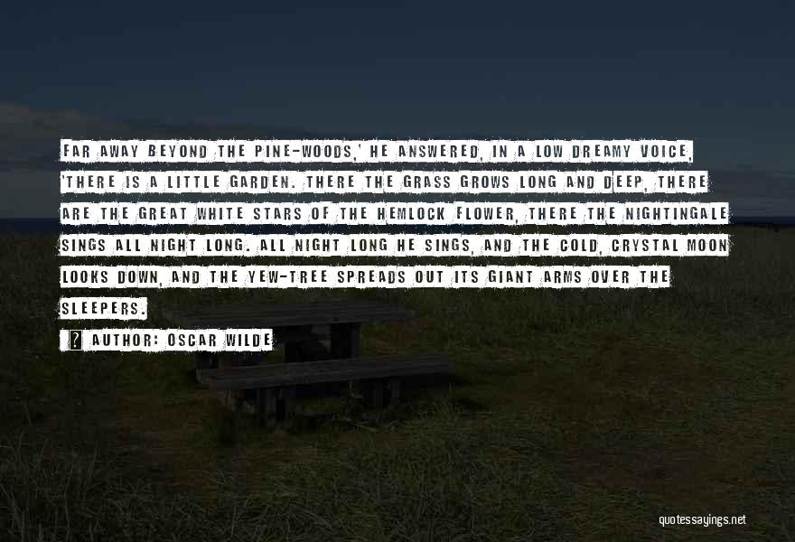 Moon And Night Quotes By Oscar Wilde