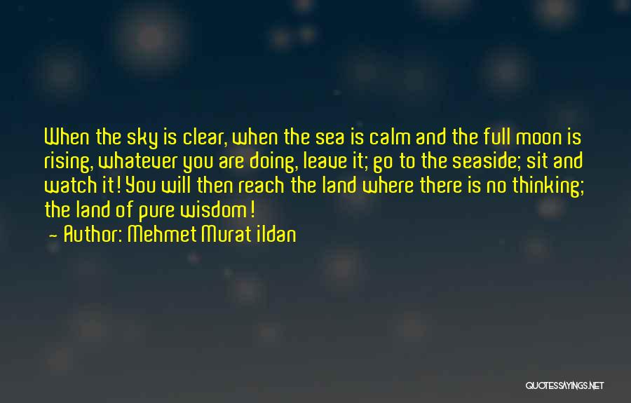 Moon And Sea Quotes By Mehmet Murat Ildan