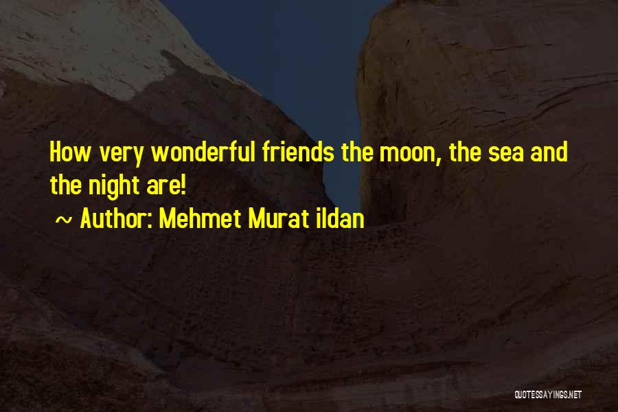 Moon And Sea Quotes By Mehmet Murat Ildan