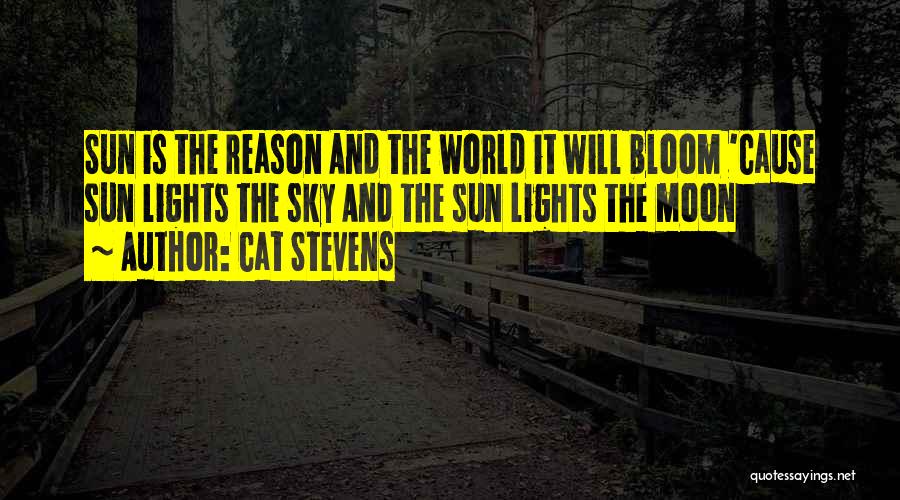 Moon And Sky Quotes By Cat Stevens