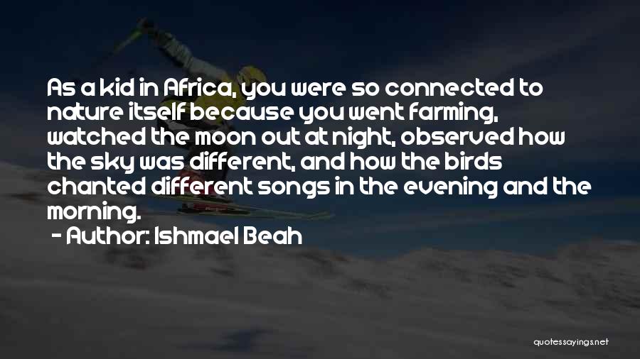 Moon And Sky Quotes By Ishmael Beah