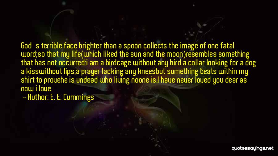 Moon And Sun Love Quotes By E. E. Cummings