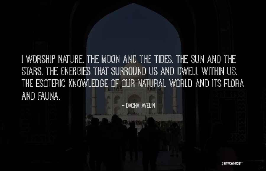 Moon And Tides Quotes By Dacha Avelin