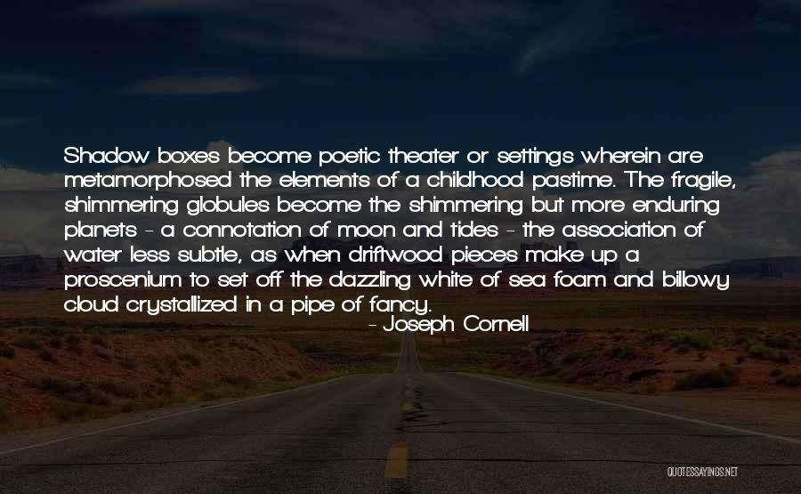 Moon And Tides Quotes By Joseph Cornell