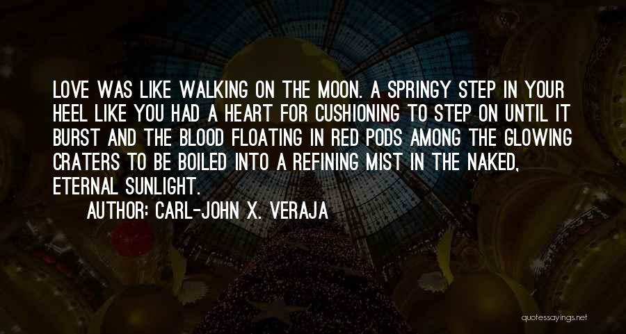 Moon And You Quotes By Carl-John X. Veraja