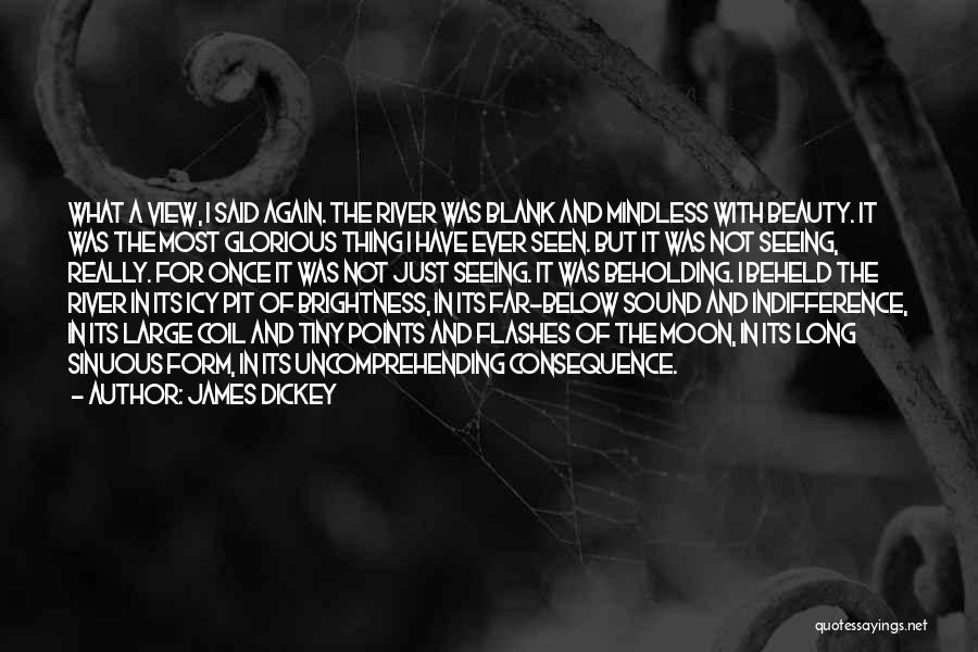 Moon Beauty Quotes By James Dickey
