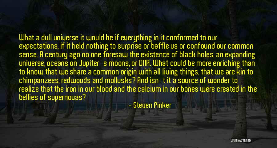 Moon Blood Quotes By Steven Pinker