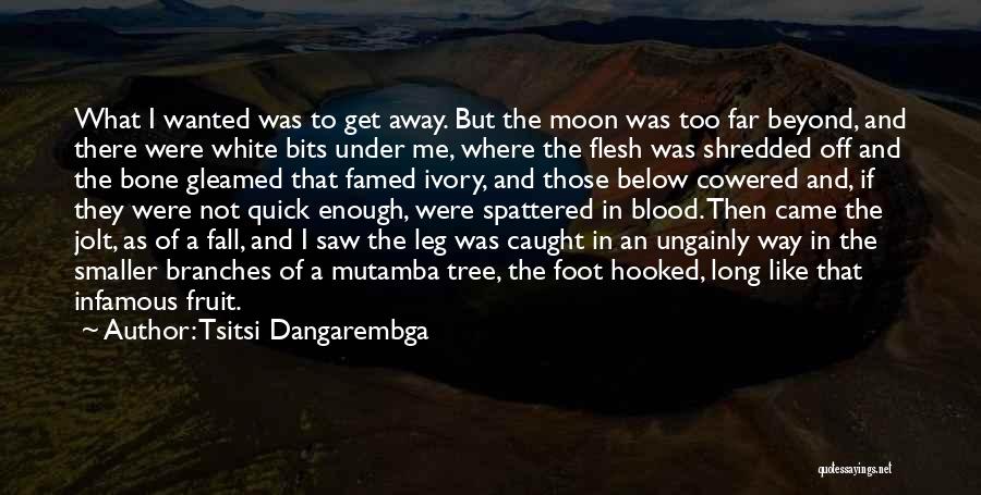 Moon Blood Quotes By Tsitsi Dangarembga